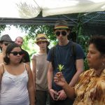 Visite guidée avec Mme Roulof de la plantation de vanille